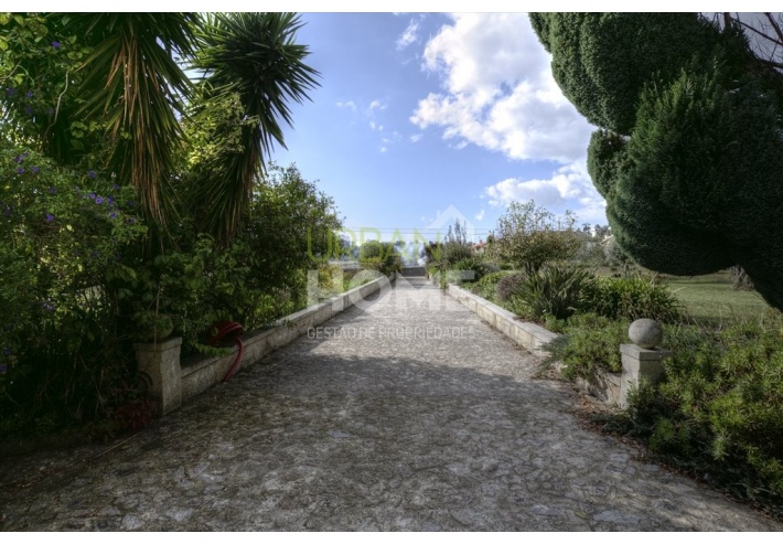 Quinta Rural T8 com 2 Hectares de Terreno em Serreleis