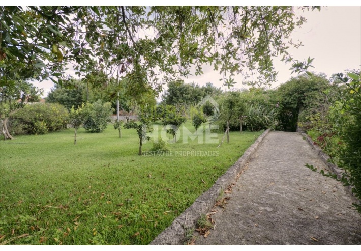 Quinta Rural T8 com 2 Hectares de Terreno em Serreleis