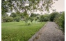 Quinta Rural T8 com 2 Hectares de Terreno em Serreleis