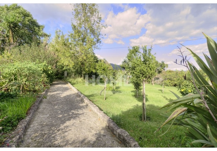 Quinta Rural T8 com 2 Hectares de Terreno em Serreleis
