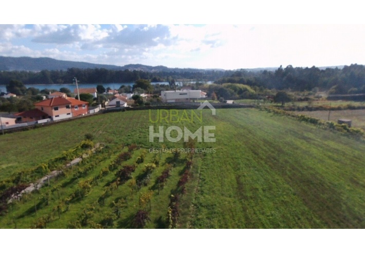Quinta Rural T8 com 2 Hectares de Terreno em Serreleis