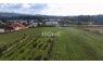 Quinta Rural T8 com 2 Hectares de Terreno em Serreleis