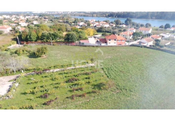 Quinta Rural T8 com 2 Hectares de Terreno em Serreleis