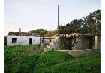 Quinta p/Restauro com 2 Hectares em Moncarapacho