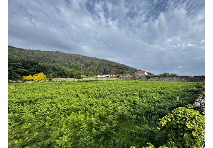 Terreno com 6270m2 para construção industrial em Carreço