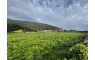 Terreno com 6270m2 para construção industrial em Carreço