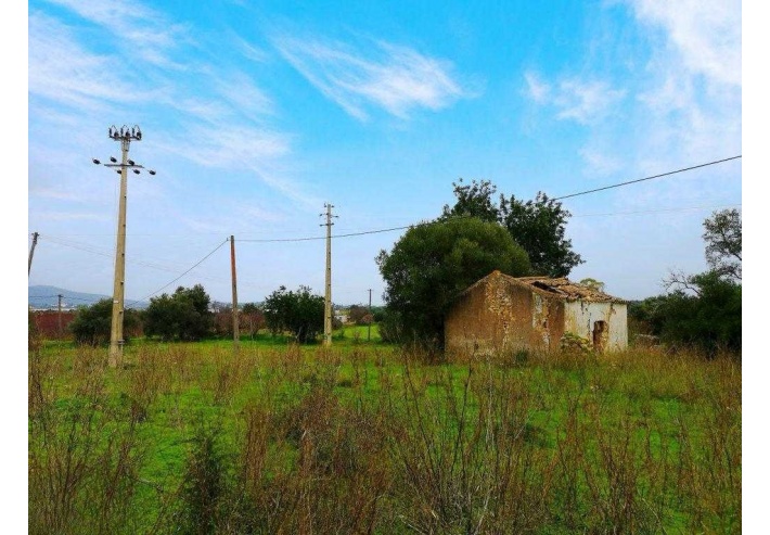 Quinta p/Restauro com 2 Hectares em Moncarapacho