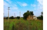 Quinta p/Restauro com 2 Hectares em Moncarapacho