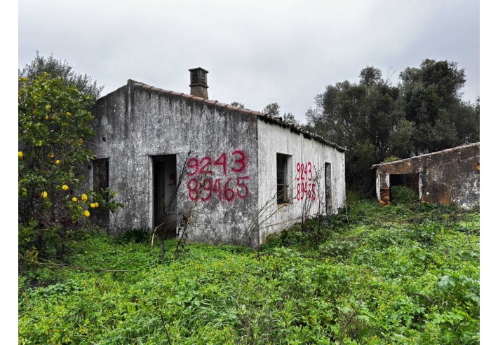 Quinta p/Restauro com 2 Hectares em Moncarapacho