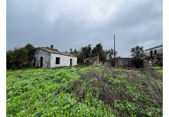 Quinta p/Restauro com 2 Hectares em Moncarapacho