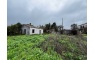 Quinta p/Restauro com 2 Hectares em Moncarapacho