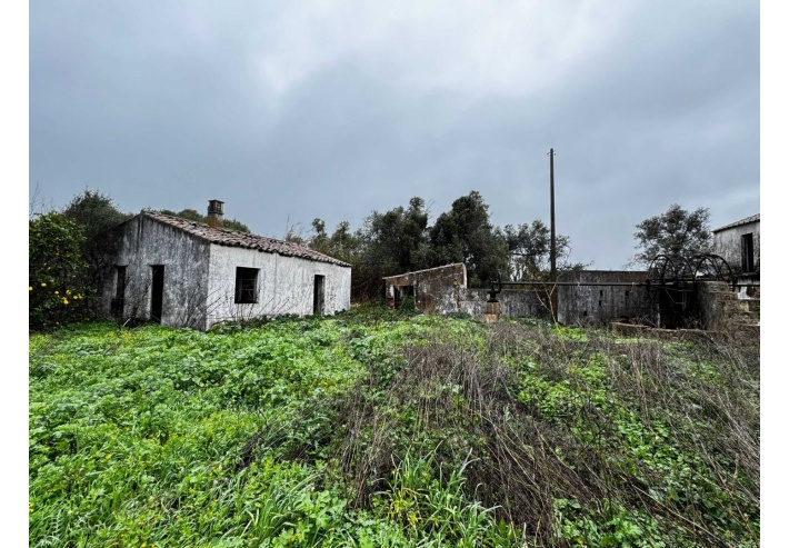 Quinta p/Restauro com 2 Hectares em Moncarapacho
