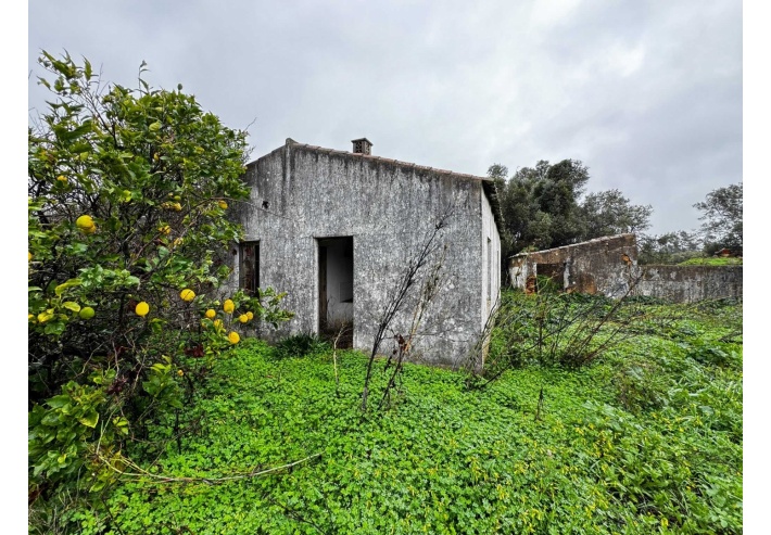 Quinta p/Restauro com 2 Hectares em Moncarapacho