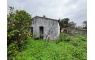 Quinta p/Restauro com 2 Hectares em Moncarapacho