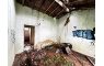 Quinta p/Restauro com 2 Hectares em Moncarapacho