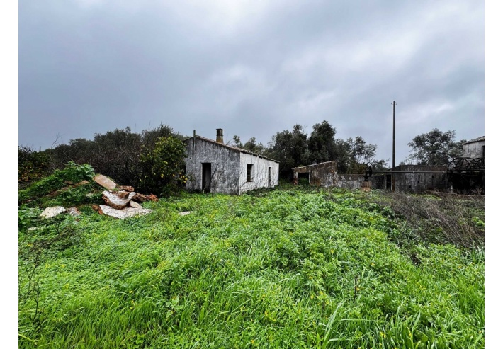 Quinta p/Restauro com 2 Hectares em Moncarapacho