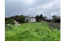 Quinta p/Restauro com 2 Hectares em Moncarapacho