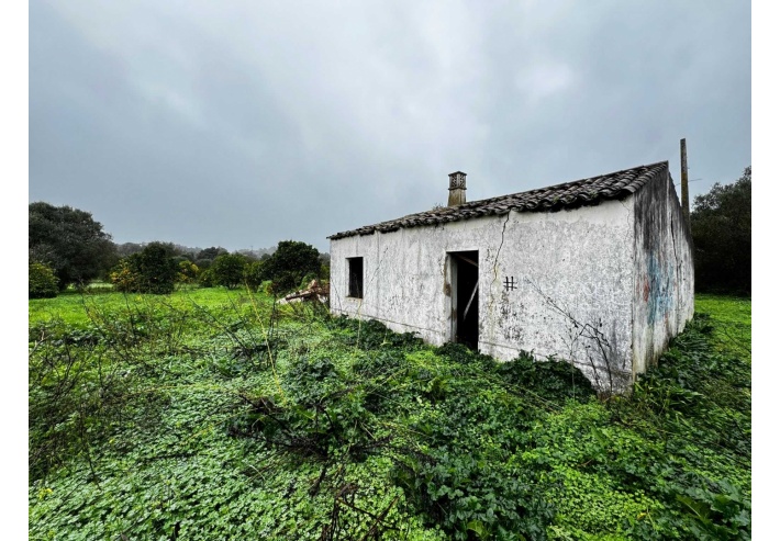 Quinta p/Restauro com 2 Hectares em Moncarapacho