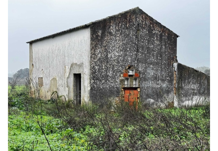 Quinta p/Restauro com 2 Hectares em Moncarapacho