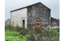 Quinta p/Restauro com 2 Hectares em Moncarapacho