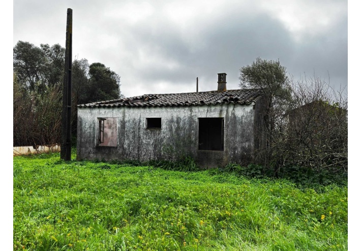 Quinta p/Restauro com 2 Hectares em Moncarapacho