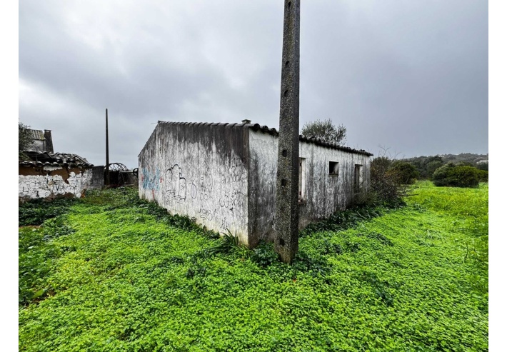 Quinta p/Restauro com 2 Hectares em Moncarapacho