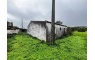 Quinta p/Restauro com 2 Hectares em Moncarapacho