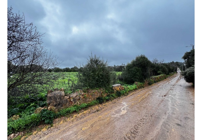 Quinta p/Restauro com 2 Hectares em Moncarapacho