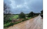 Quinta p/Restauro com 2 Hectares em Moncarapacho