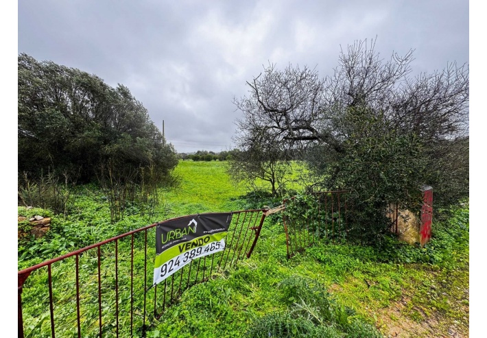 Quinta p/Restauro com 2 Hectares em Moncarapacho