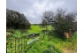 Quinta p/Restauro com 2 Hectares em Moncarapacho