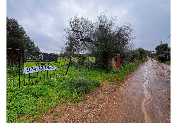 Quinta p/Restauro com 2 Hectares em Moncarapacho