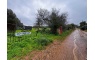 Quinta p/Restauro com 2 Hectares em Moncarapacho