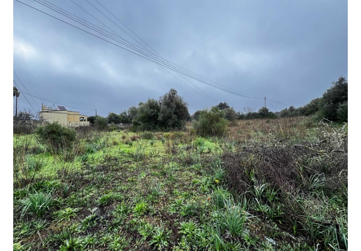 Quinta p/Restauro com 2 Hectares em Moncarapacho
