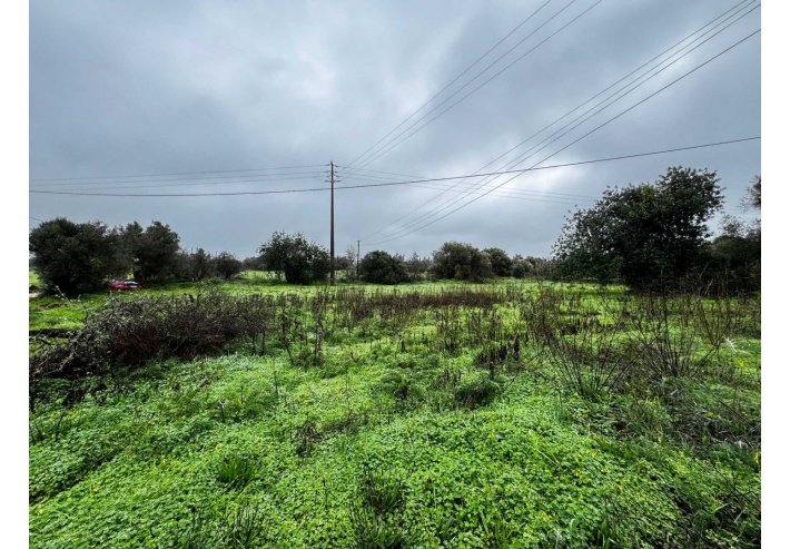 Quinta p/Restauro com 2 Hectares em Moncarapacho