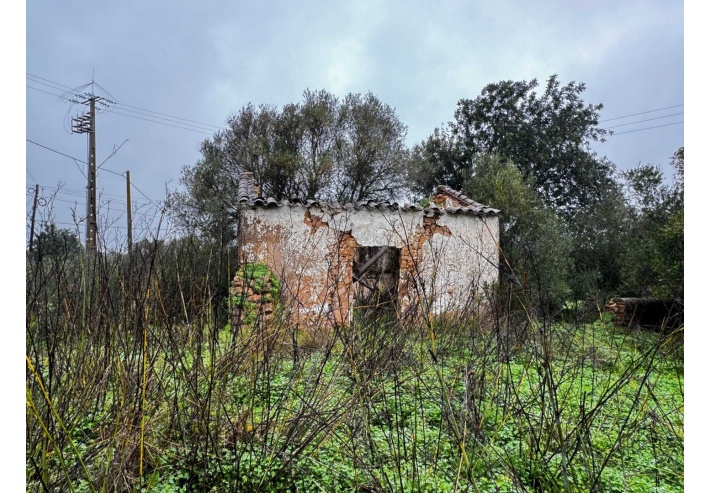Quinta p/Restauro com 2 Hectares em Moncarapacho