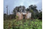 Quinta p/Restauro com 2 Hectares em Moncarapacho