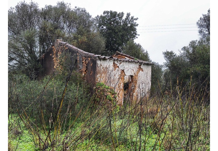 Quinta p/Restauro com 2 Hectares em Moncarapacho