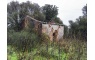 Quinta p/Restauro com 2 Hectares em Moncarapacho