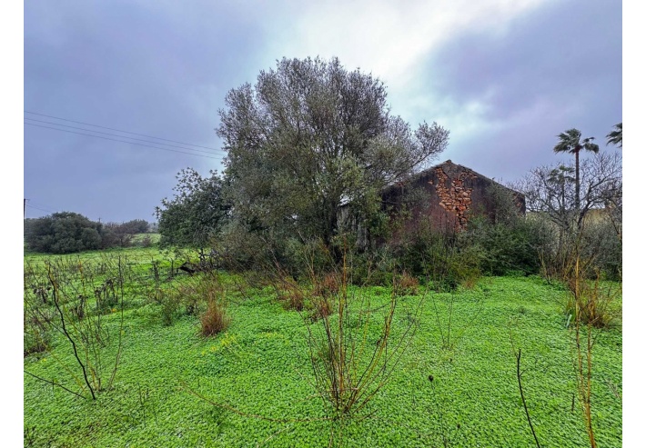 Quinta p/Restauro com 2 Hectares em Moncarapacho