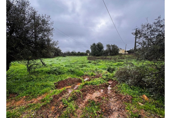 Quinta p/Restauro com 2 Hectares em Moncarapacho