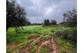 Quinta p/Restauro com 2 Hectares em Moncarapacho