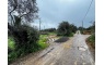 Quinta p/Restauro com 2 Hectares em Moncarapacho
