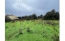 Quinta p/Restauro com 2 Hectares em Moncarapacho