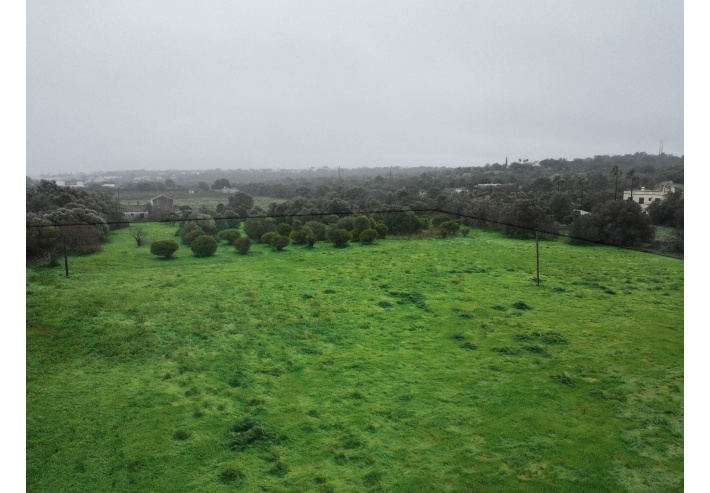 Quinta p/Restauro com 2 Hectares em Moncarapacho