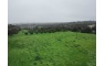 Quinta p/Restauro com 2 Hectares em Moncarapacho