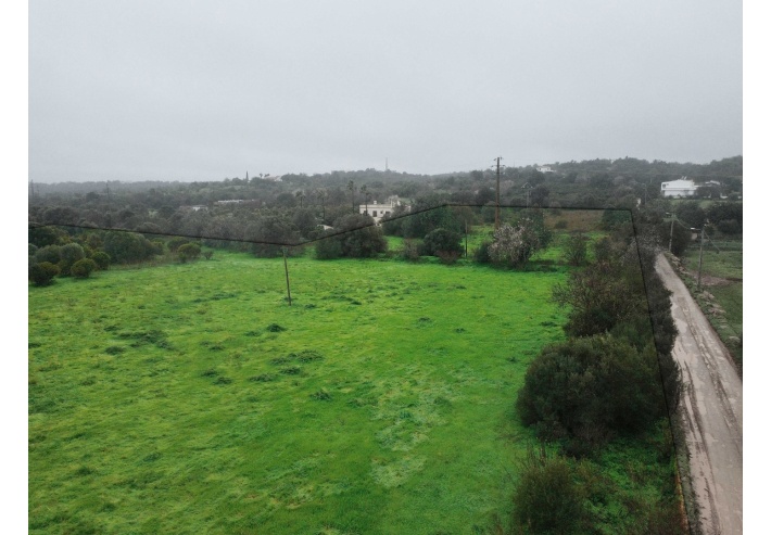 Quinta p/Restauro com 2 Hectares em Moncarapacho