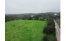 Quinta p/Restauro com 2 Hectares em Moncarapacho
