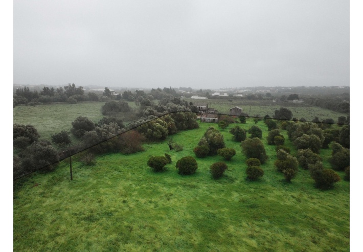 Quinta p/Restauro com 2 Hectares em Moncarapacho