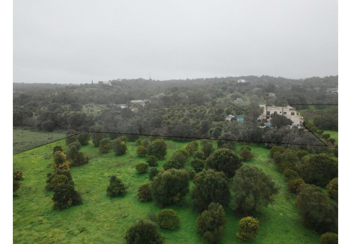 Quinta p/Restauro com 2 Hectares em Moncarapacho